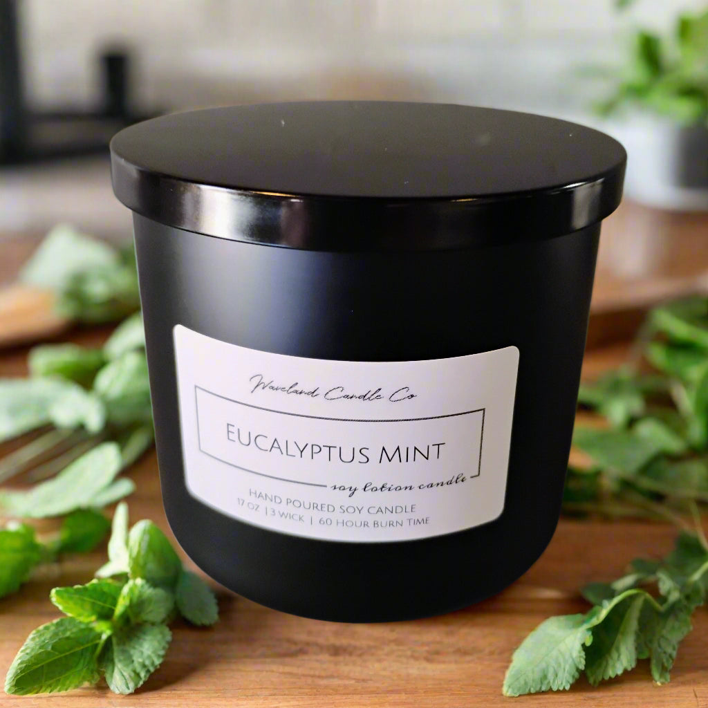 Eucalyptus Mint Soy Candles
