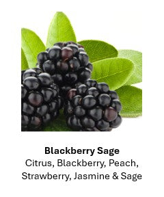 8.5 oz Black Matte Tumbler Soy Lotion Candles