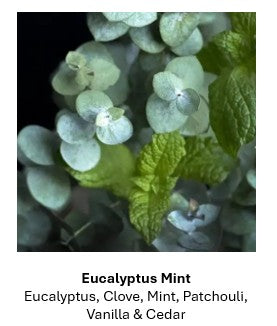 8oz Room and Linen Spray - Natural & Organic