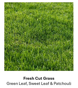 8oz Room and Linen Spray - Natural & Organic