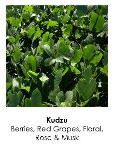 8oz Room and Linen Spray - Natural & Organic