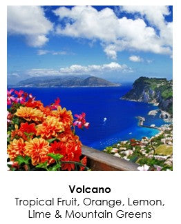 13.5 oz Tumbler Soy Lotion Candle (Clear)